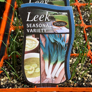 Leek ‘Seasonal Variety’ - Purtills